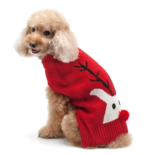 Red Nose Reindeer Sweater