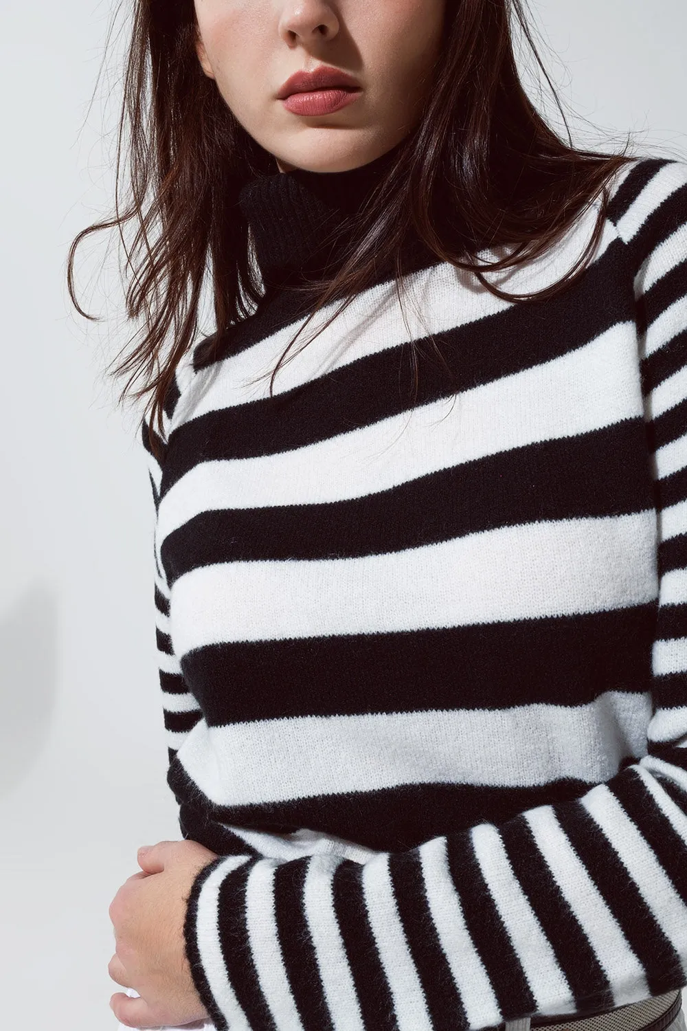 Turtleneck sweater with stripes in white and black