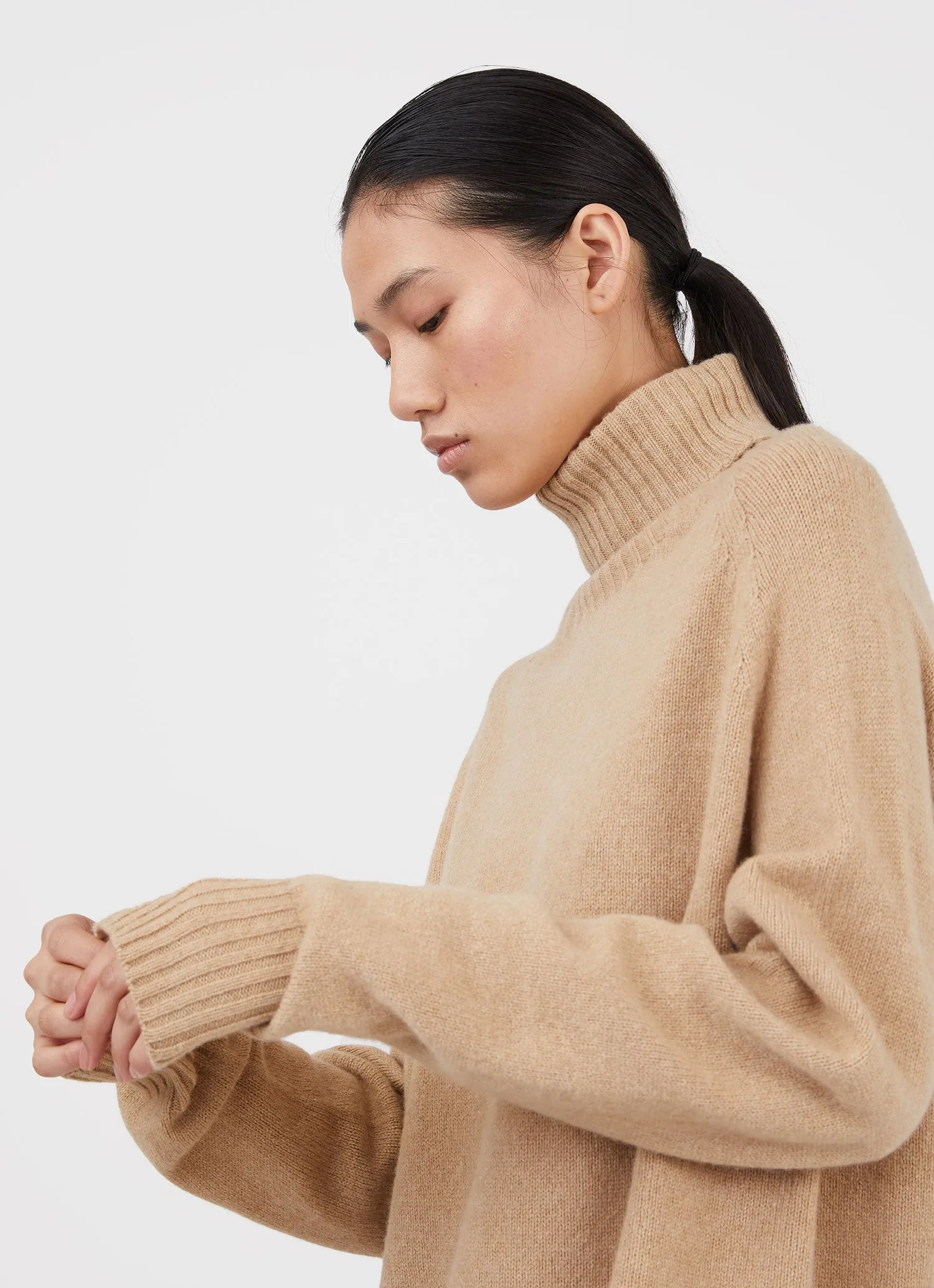 Women's Lambswool Roll Neck Dress in Light Camel